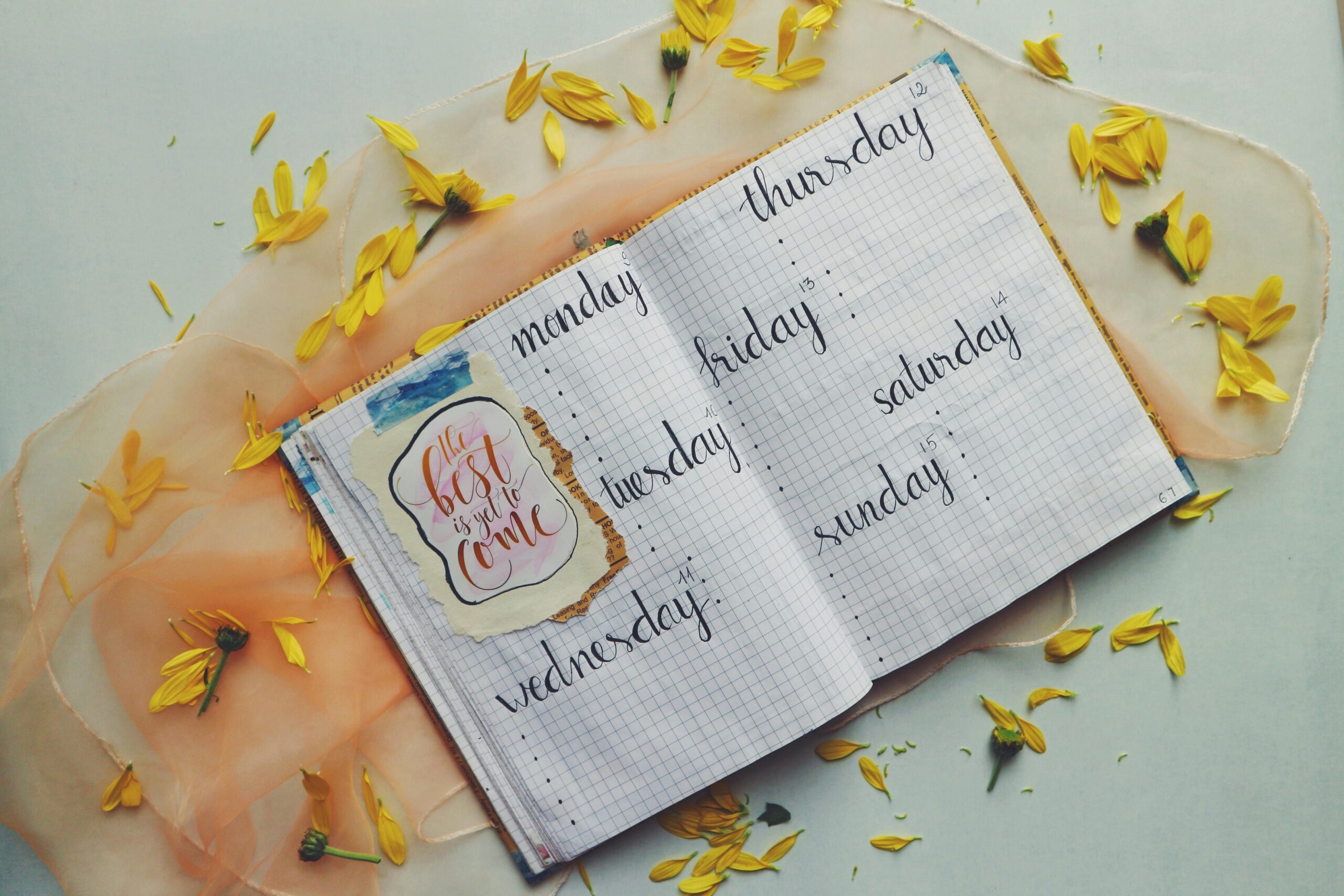 Open planner with days of the week, surrounded by yellow petals and an inspiring quote. rspid weight loss journal belfast weight training hustle fitness gym