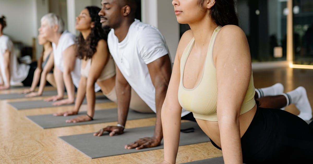 gold standard member ship elevates your fitness journey hustle fitness belfast